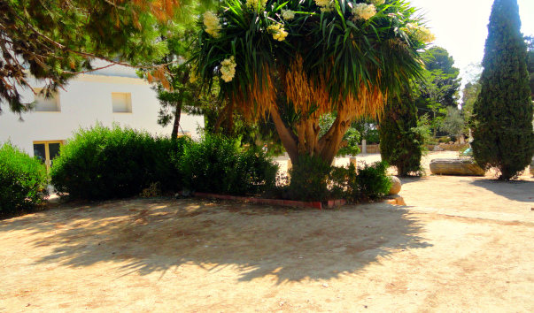 DSC04909