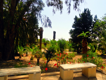 photo 1386557