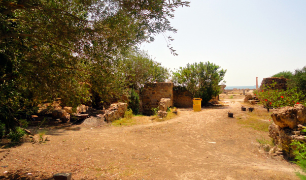 DSC04965