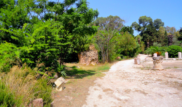 DSC05060