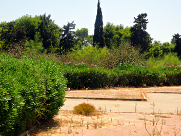 photo 1442844