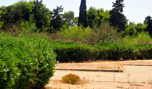 DSC05169