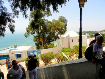 photo 1347227