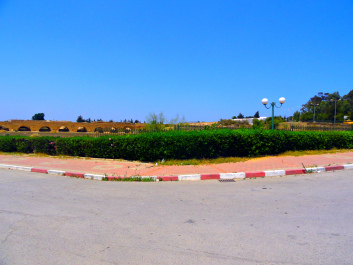 photo 1377369