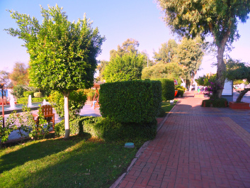 photo 1410973