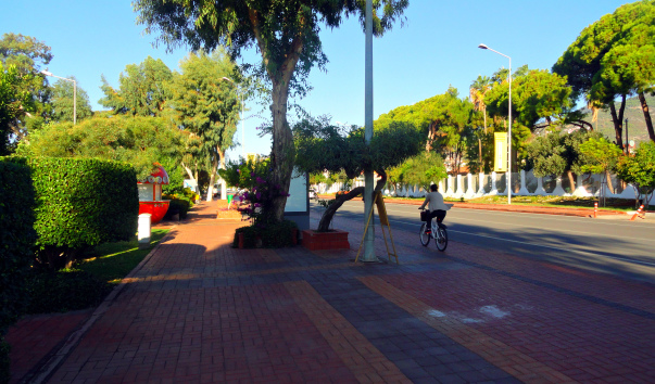 DSC06388