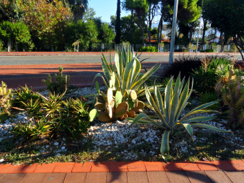 photo 1413873