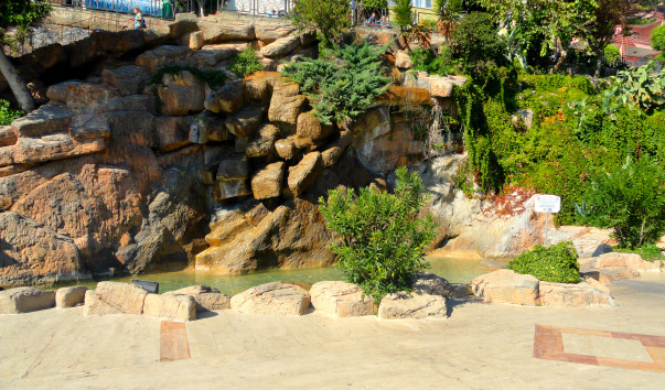 DSC06695