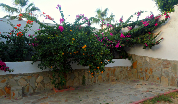 DSC05959