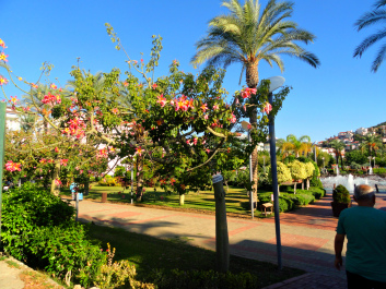 photo 1446763