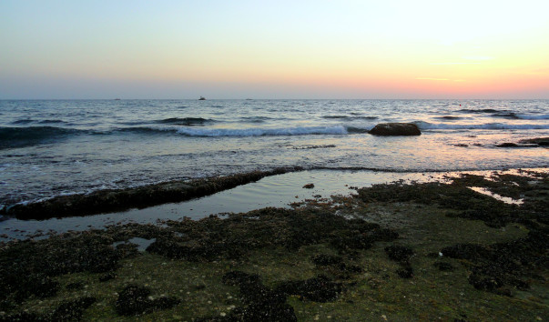DSC06068