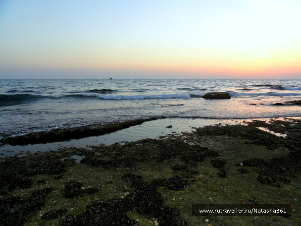 photo 1412548
