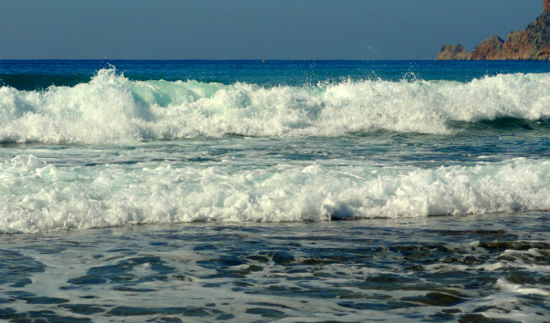 DSC06081