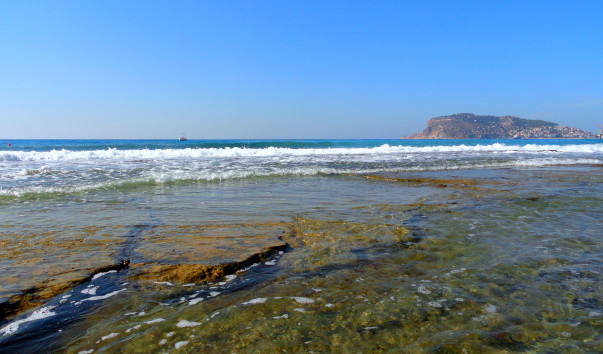 DSC06071