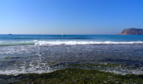 DSC06076