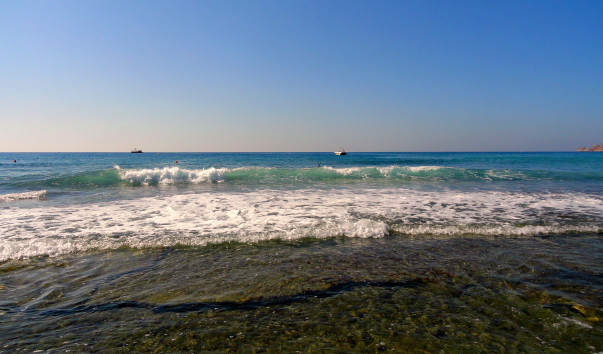 DSC06077