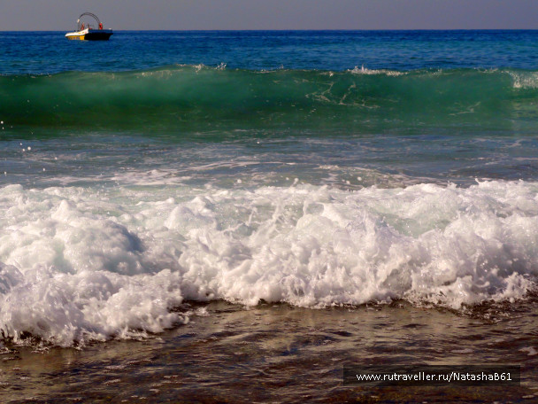 photo 1419242