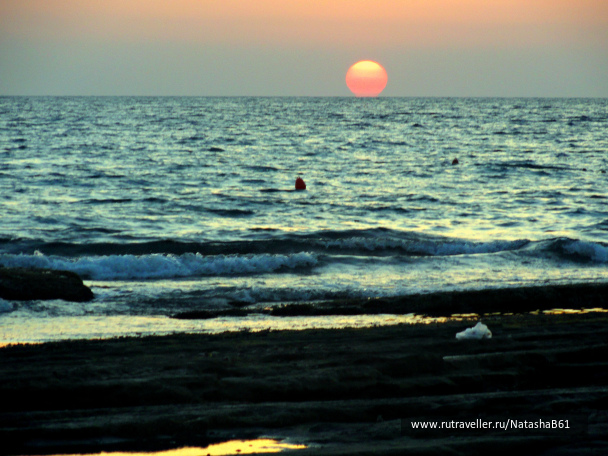 photo 1421890