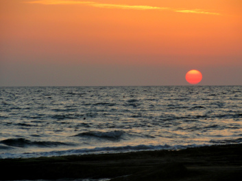 photo 1426814