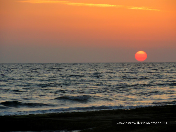photo 1426814
