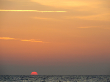 photo 1442448