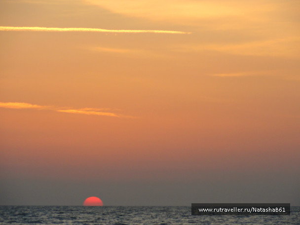 photo 1442448