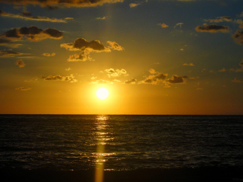 photo 1442843