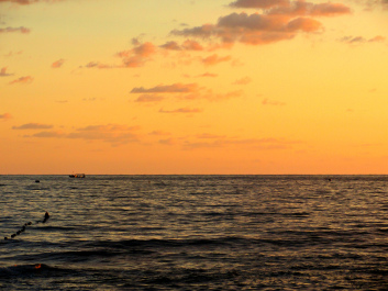 photo 1443552