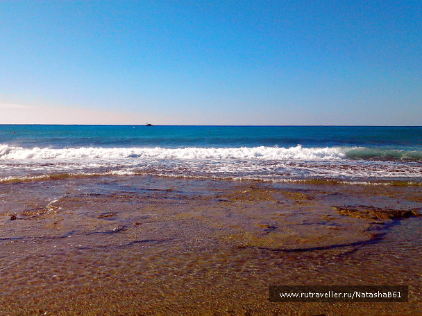 photo 1445253