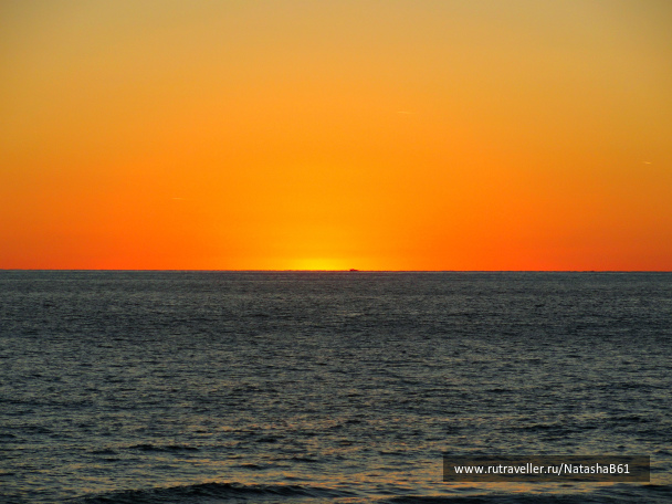 photo 1445572