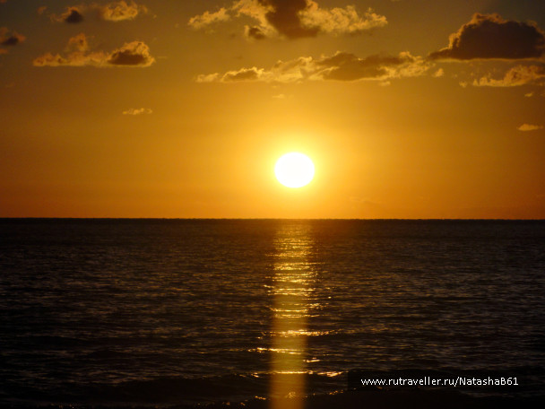 photo 1446051