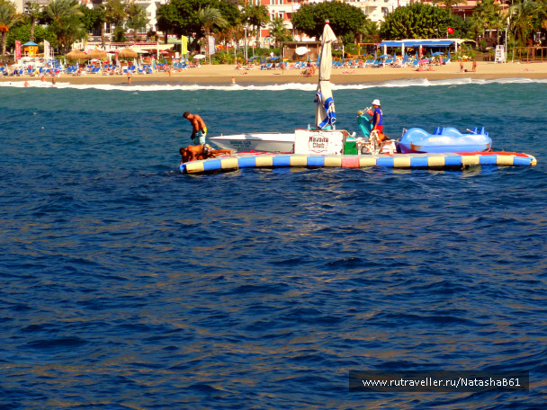 photo 1453935