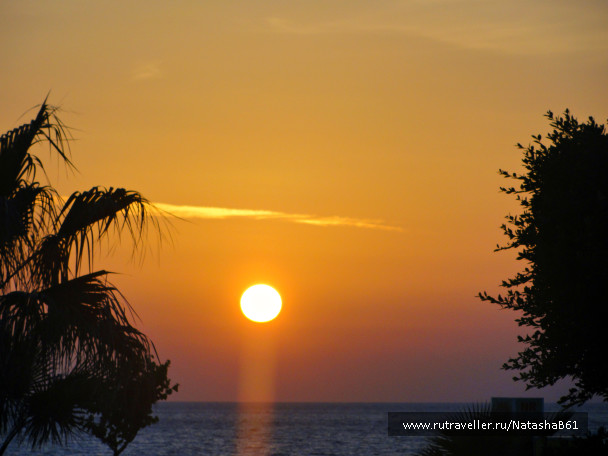 photo 1455216