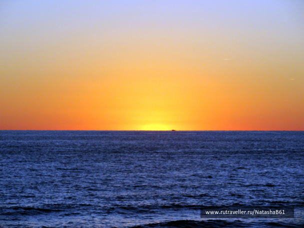 photo 1455226