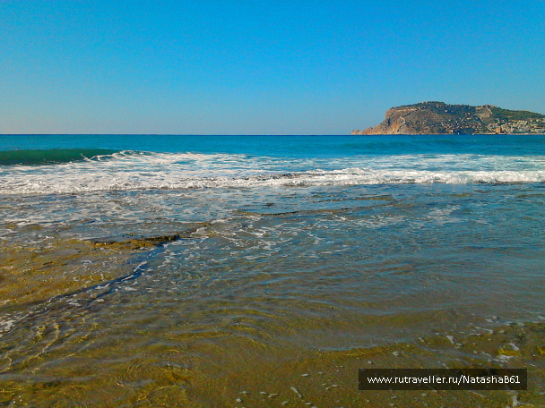 photo 1455804