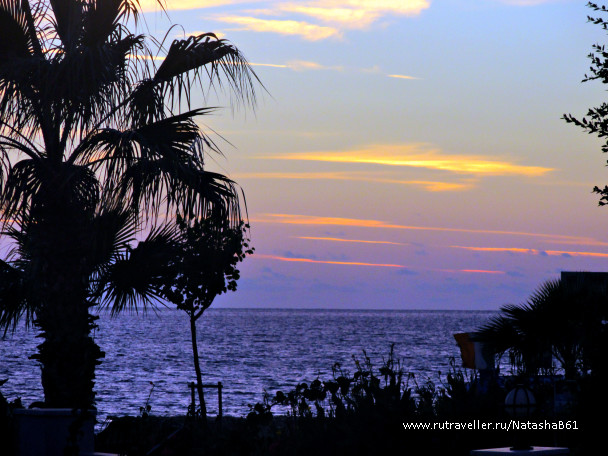 photo 1456513