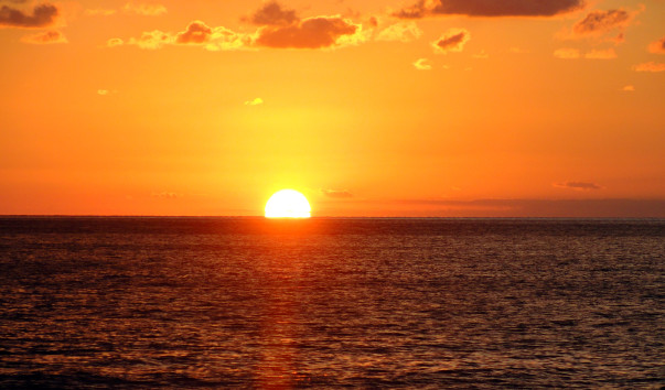 DSC07000