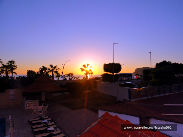 photo 1460934