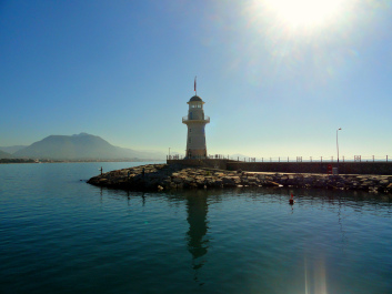 photo 1417956