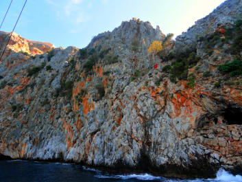 photo 1446361