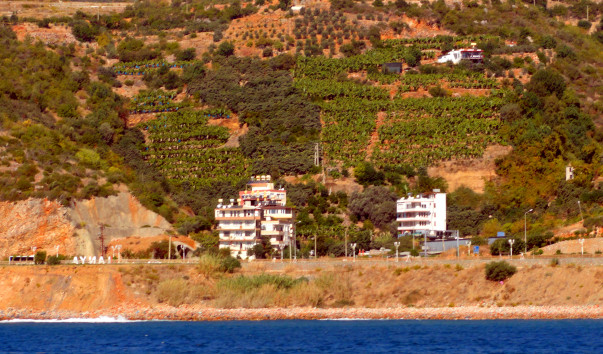 DSC06290