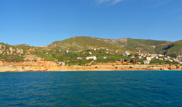 DSC06295