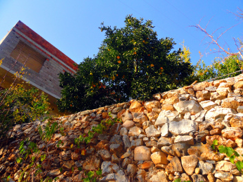 photo 1414393