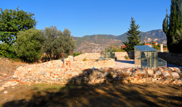 DSC06560