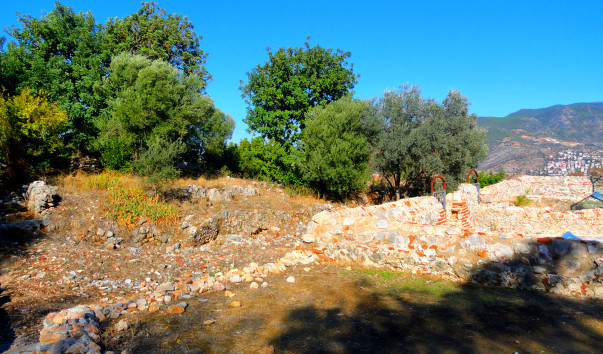 DSC06561