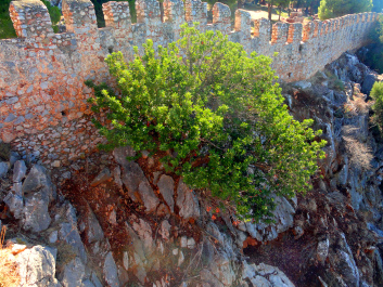 photo 1457689