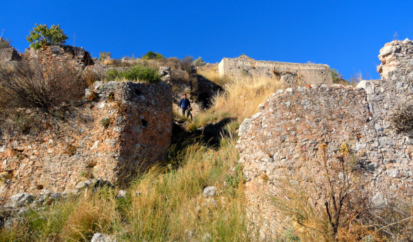 DSC06791