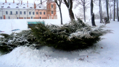 photo 1447792