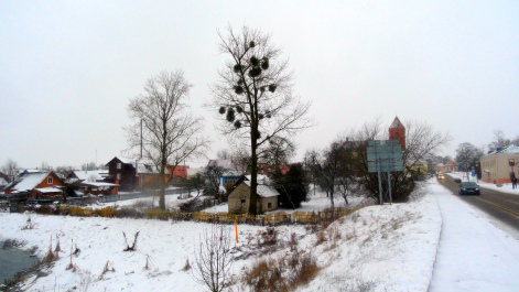 photo 1455231