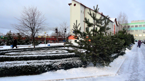 photo 1456506